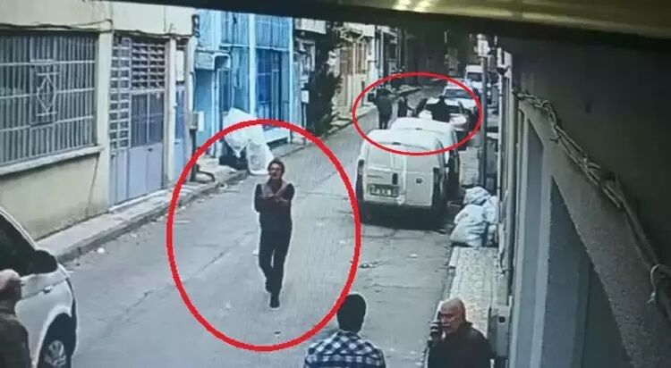 P I T B U L I L E S A L D I R I D A V A S I N D A 3 S A N I G A I N 1185242 352158