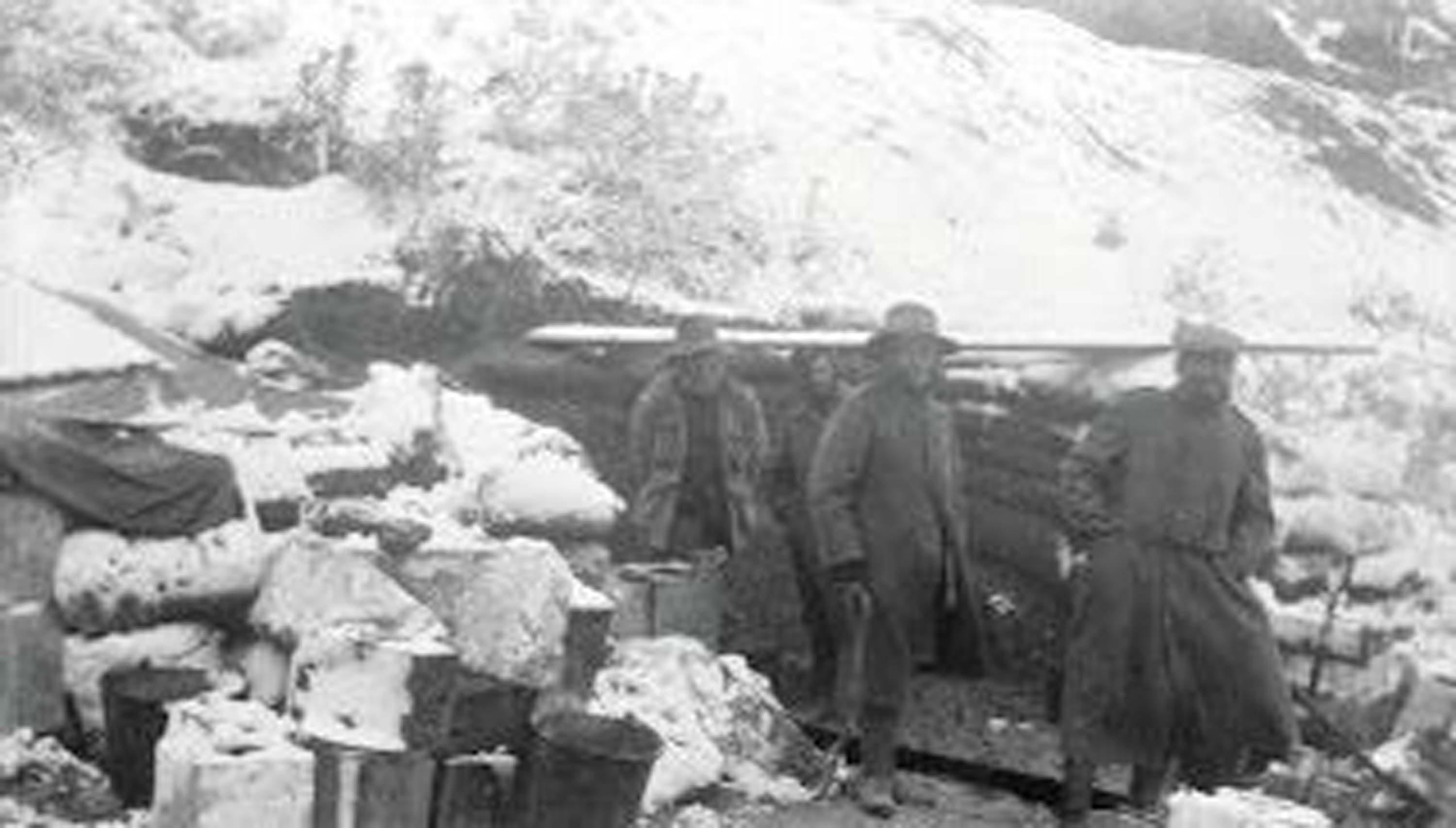 S A R I K A M I S T A K I A C I N I N B I R B E N Z E R I D E C A N 1144209 339719