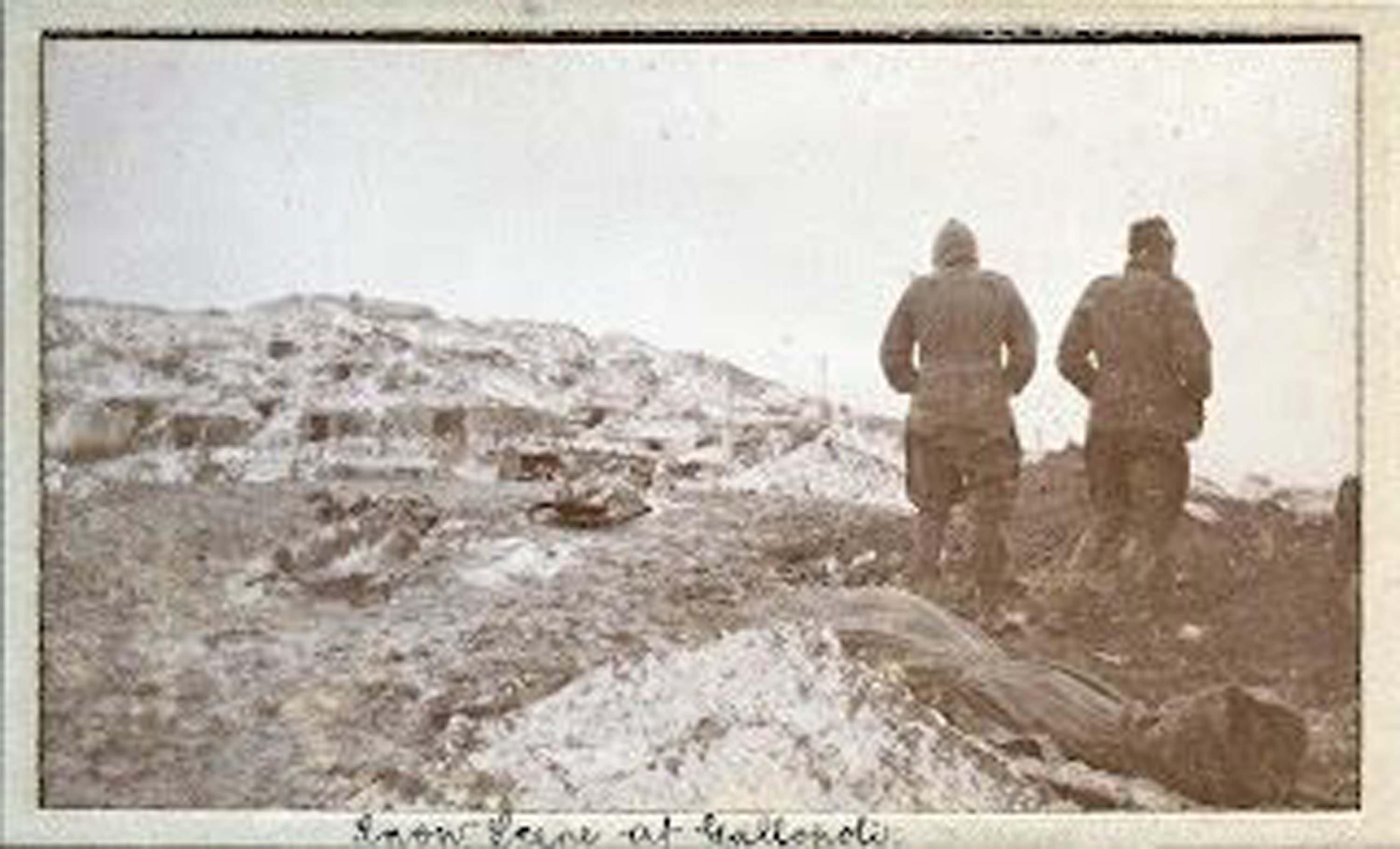 S A R I K A M I S T A K I A C I N I N B I R B E N Z E R I D E C A N 1144212 339719