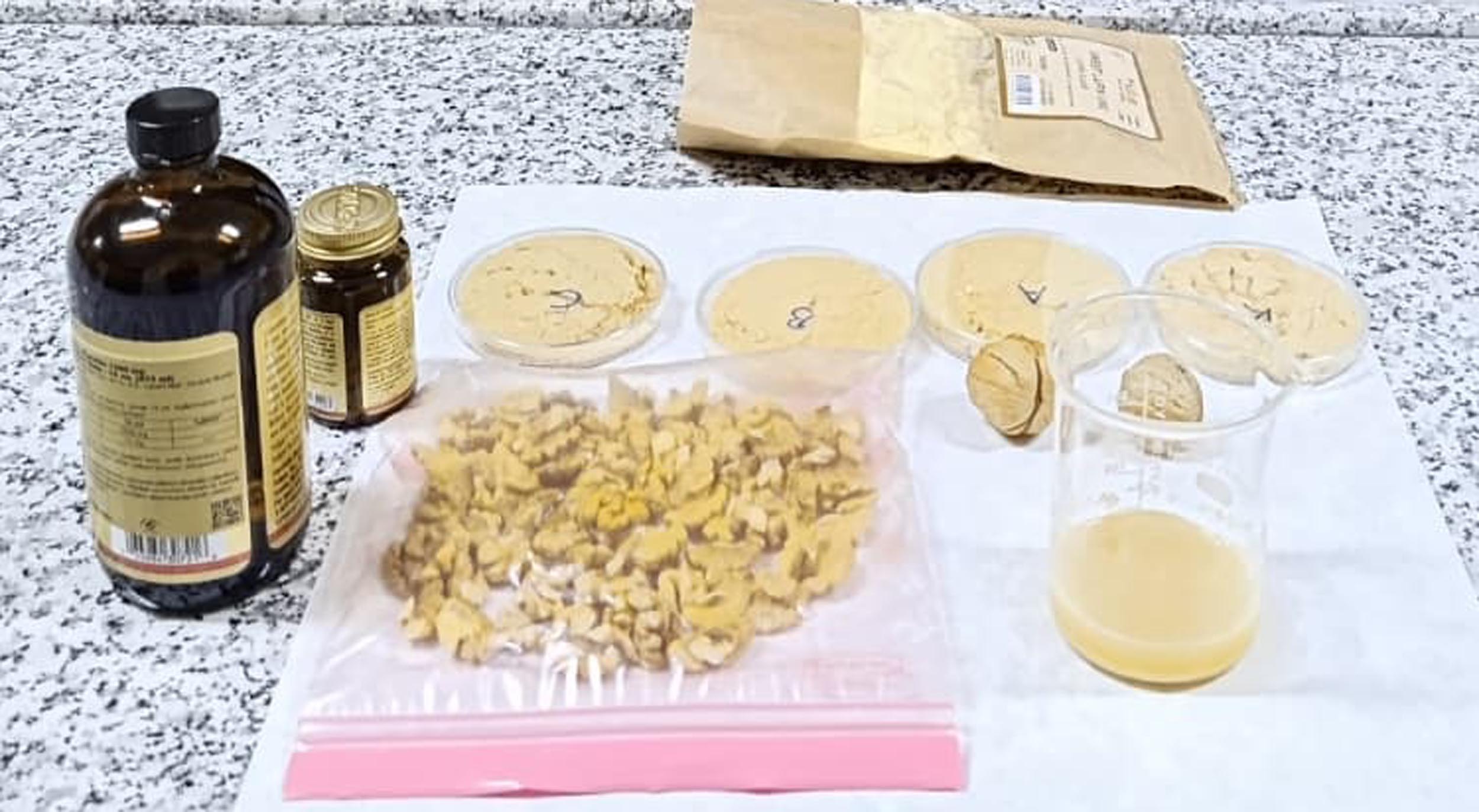 V E G A N S P O R C U L A R I C I N C E V I Z T E M E L L I P R O T E 1179828 350469