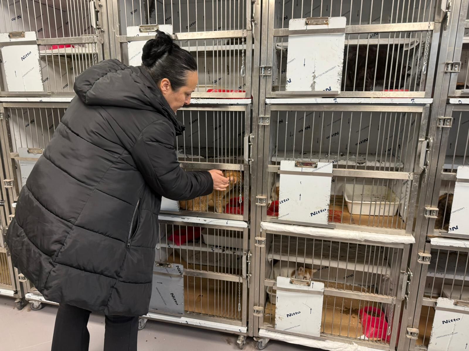 A N K A R A D A K O T U S A R T L A R D A T U T U L A N 102 H A Y 1231970 366430