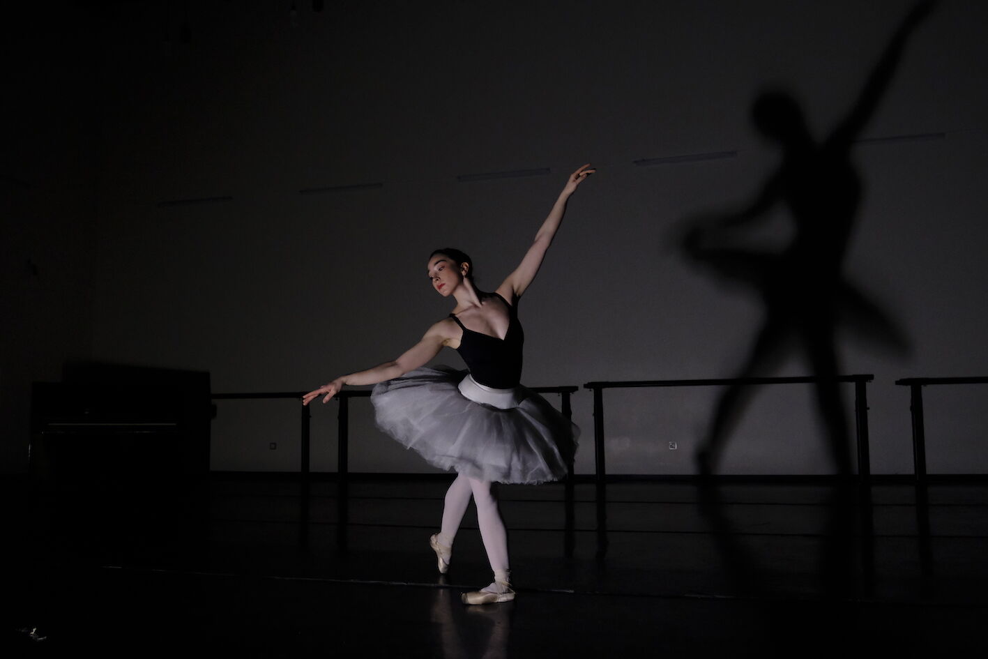 B A L E R I N D O G A D E N I Z E F R A N S A D A 1 I N C I L I 1222974 363632