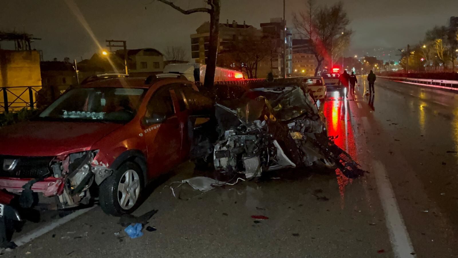 B U R S A D A 3 A R A C I N K A R I S T I G I Z I N C I R L E M E K 1234136 367019