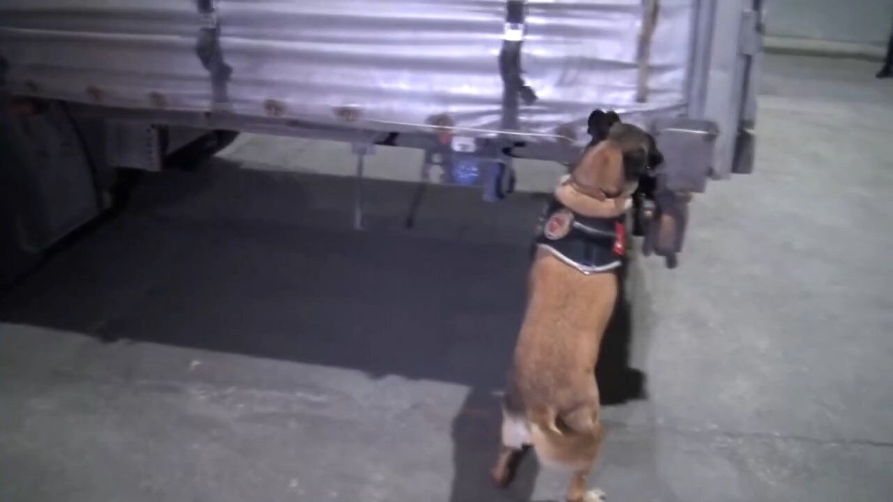 I S T A N B U L K U C U K C E K M E C E D E U Y U S T U R U C U O P E 1213614 360869