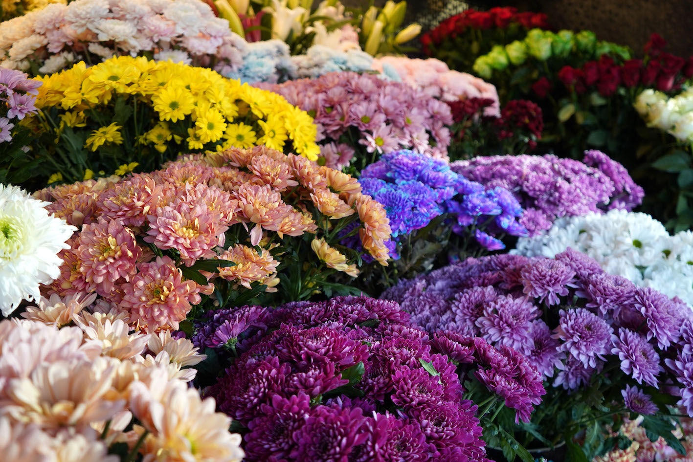 K A D I N L A R I N E N C O K H E M C I N S L E R I N E C I C E K G O 1198256 356339