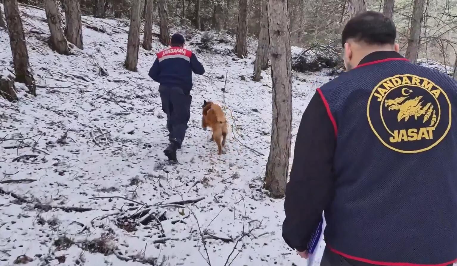 O R M A N D A B U L U N A N K A F A T A S I V E K E M I K P A R C A L 1193752 354866