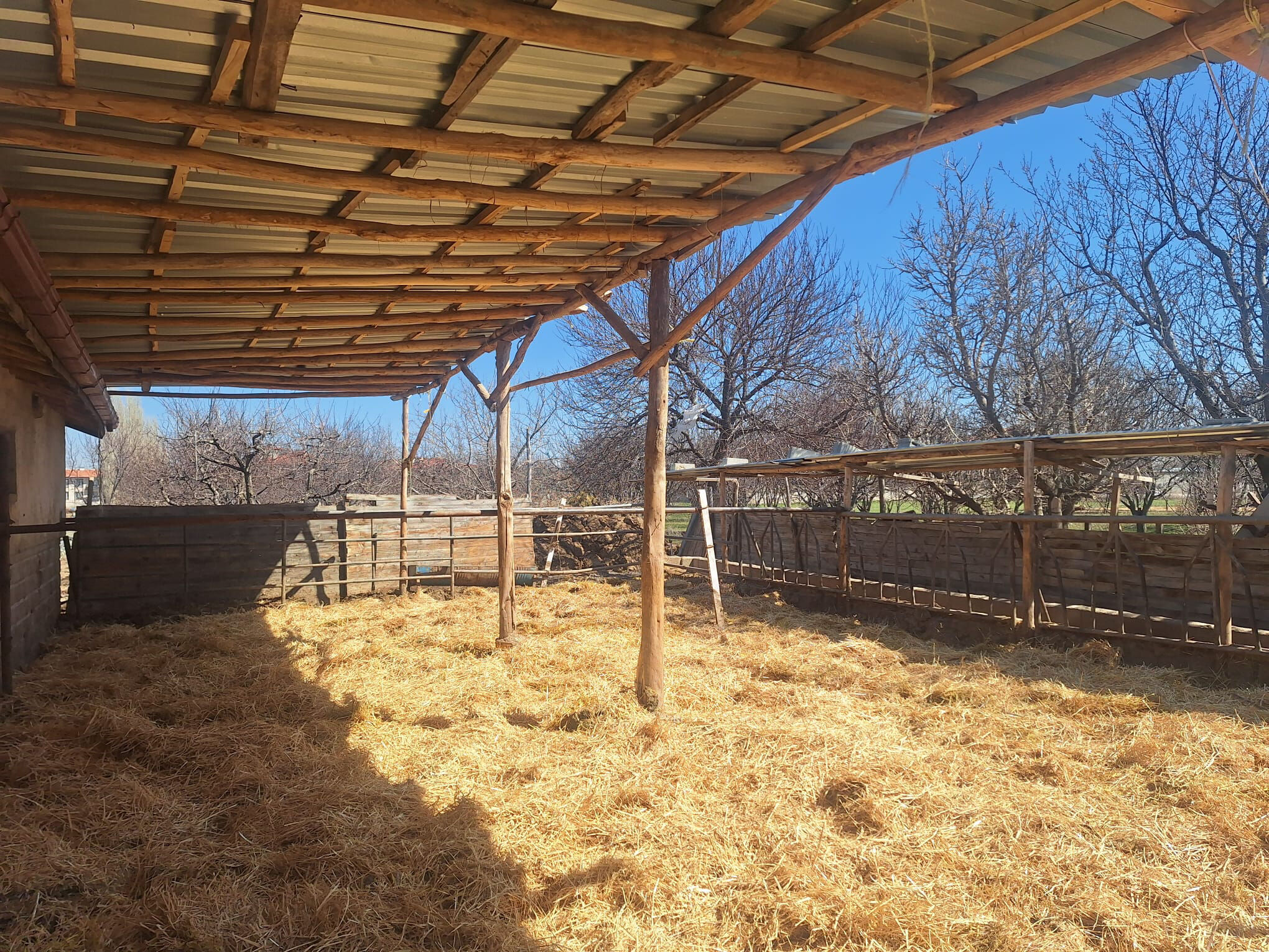 S A N A L M E D Y A D A T E P K I C E K E N B E S I C I F T L I G I N 1209832 359795