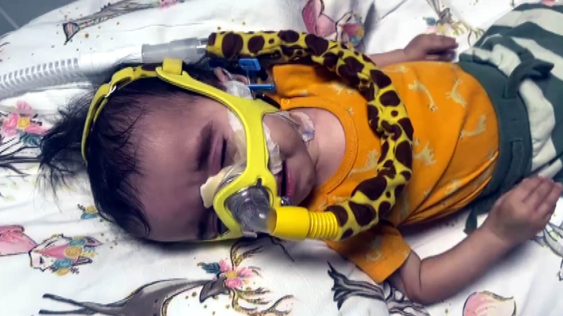 S M A’ L I A L I I C I N T O P L A N A N Y A R D I M P A R A L A R I 1203016 357686