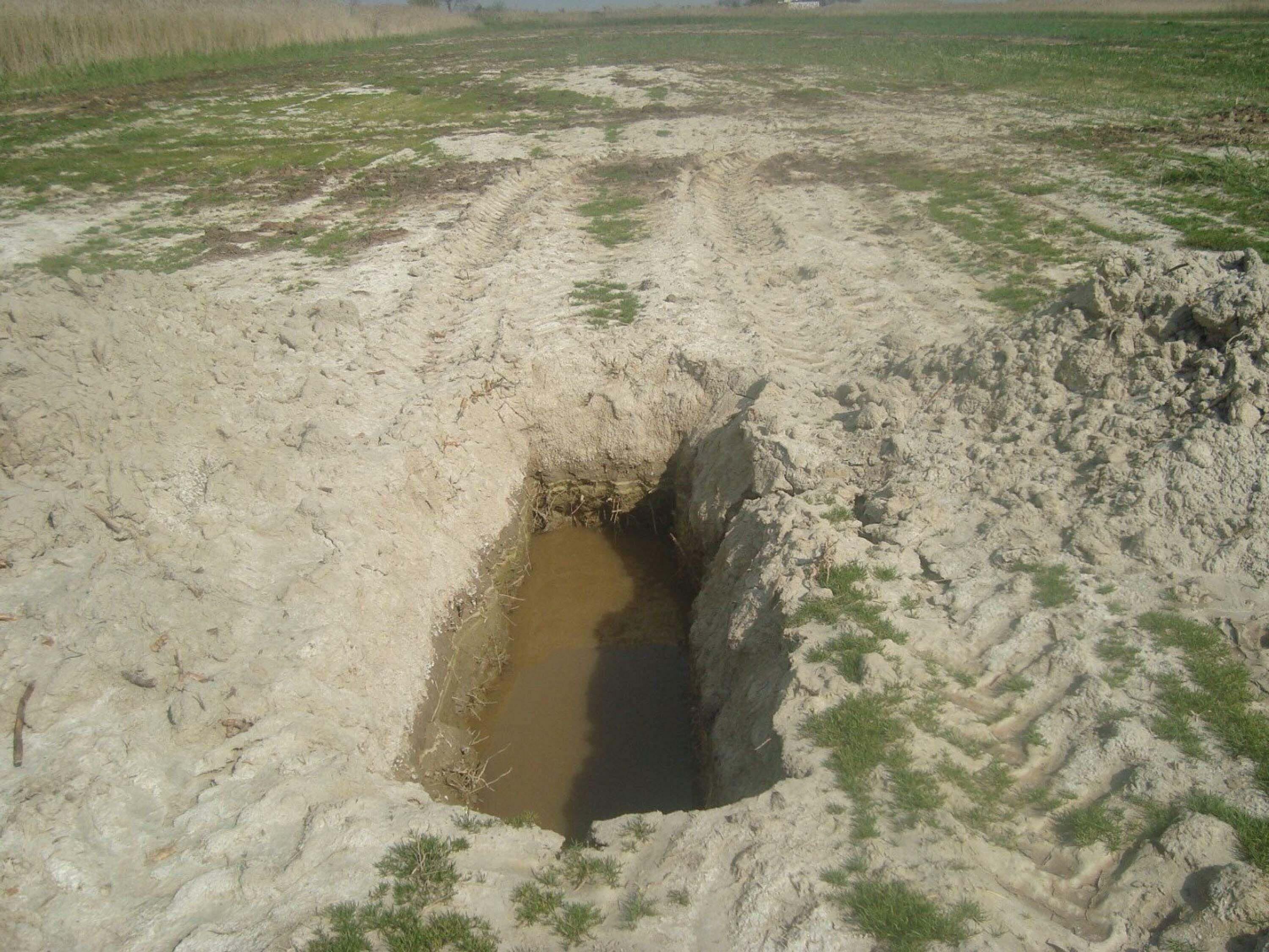 T U R K I Y E D E K R O N I K K U R A K L I K S U R U Y O R 1198362 356369