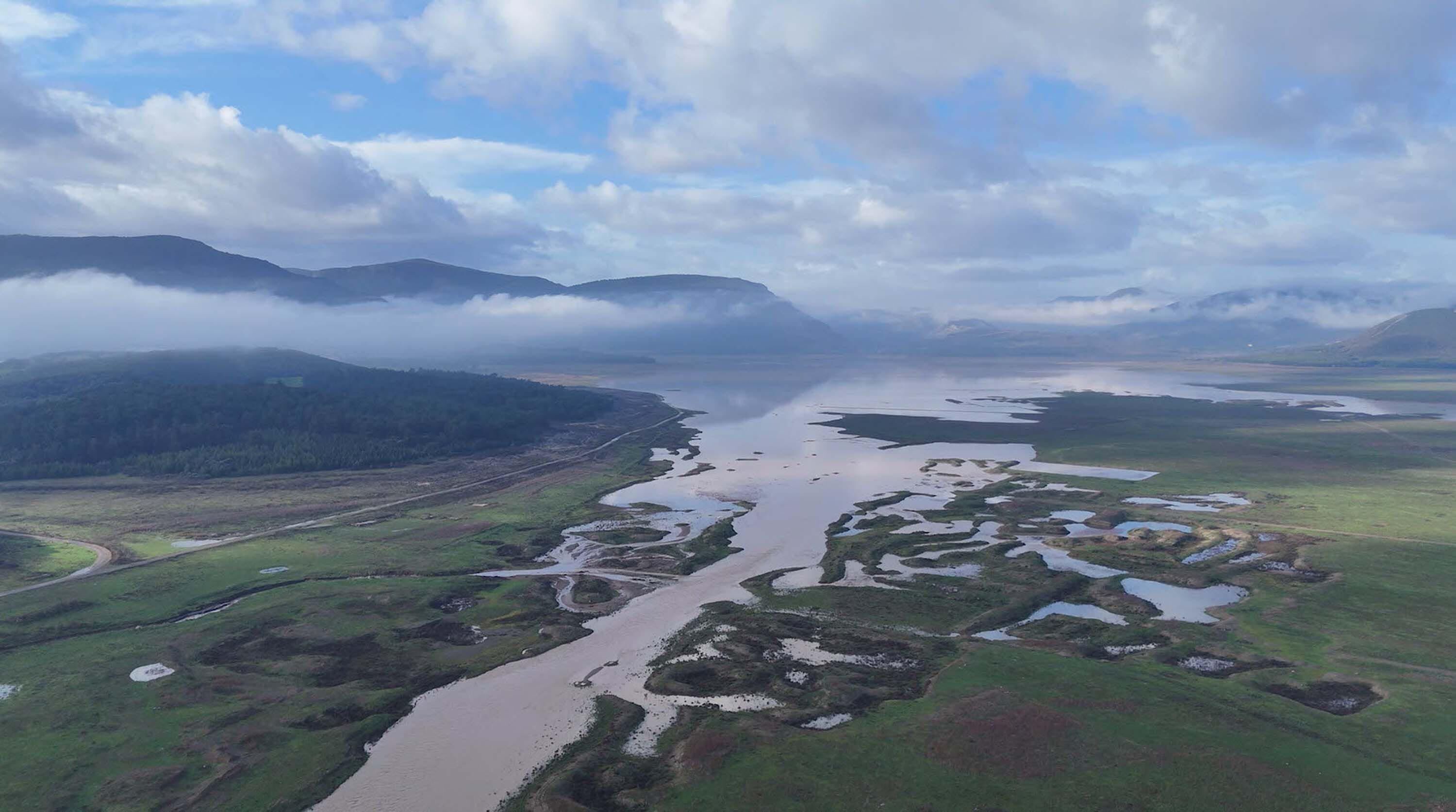 T U R K I Y E D E K R O N I K K U R A K L I K S U R U Y O R 1198364 356369