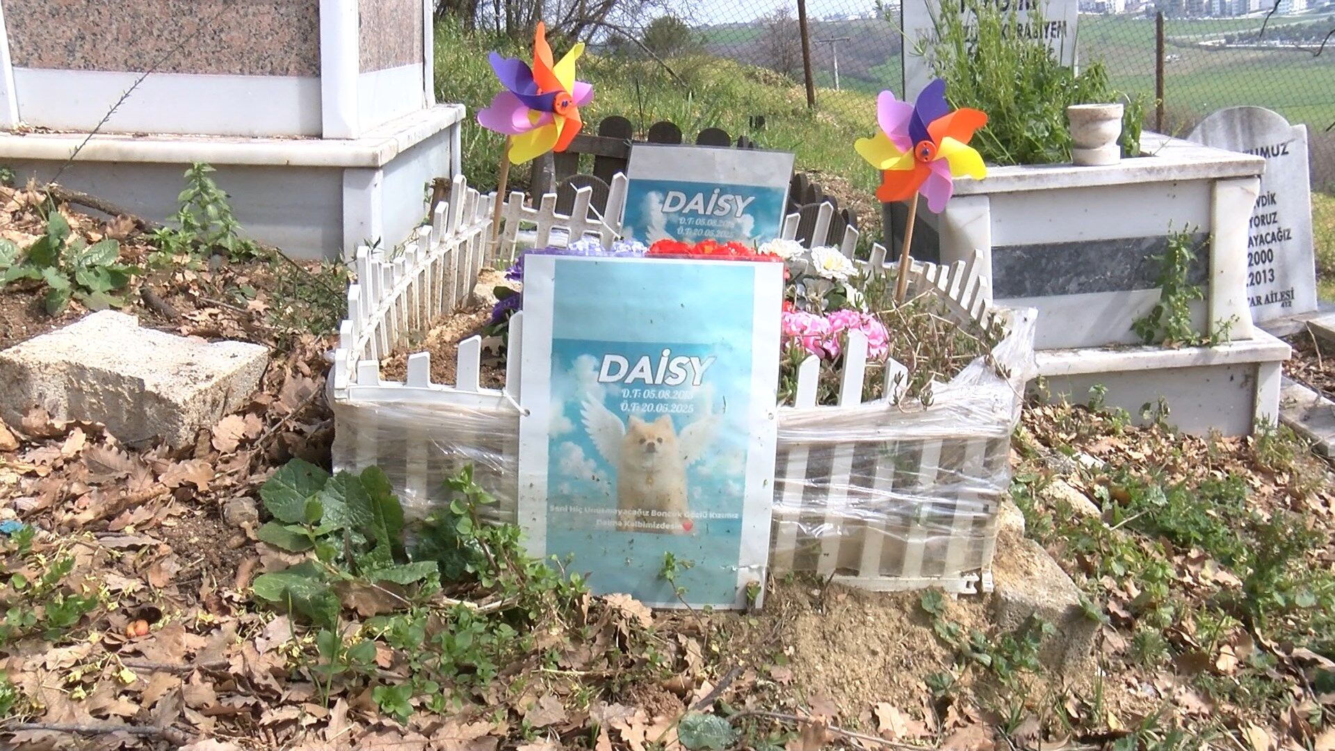 T U R K I Y E N I N I L K E V C I L H A Y V A N M E Z A R L I G I N A 1220224 362814