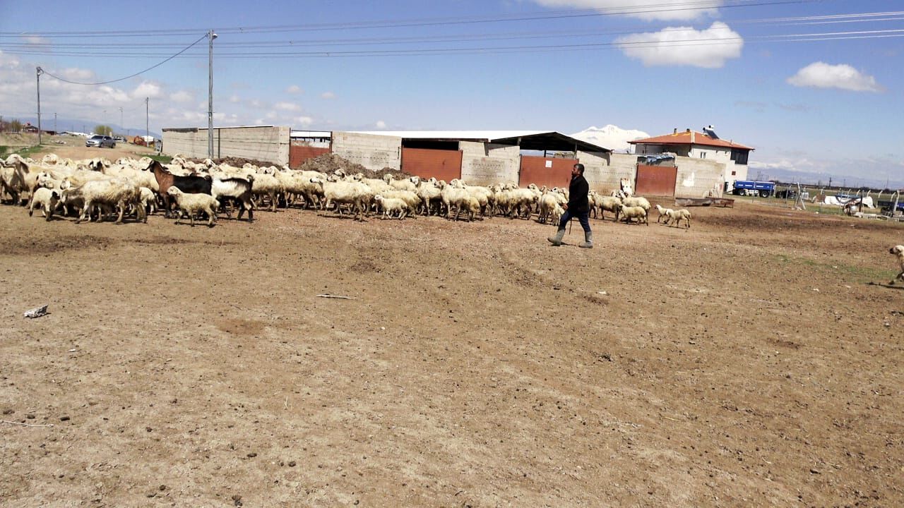 80 B I N L I R A M A A S L A C A L I S T I R A C A K C O B A N B U 1240465 369018