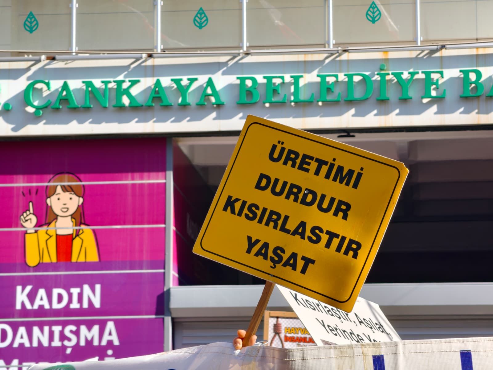 A N K A R A D A H A Y V A N S E V E R L E R D E N Y U R U Y U S 1278505 380464