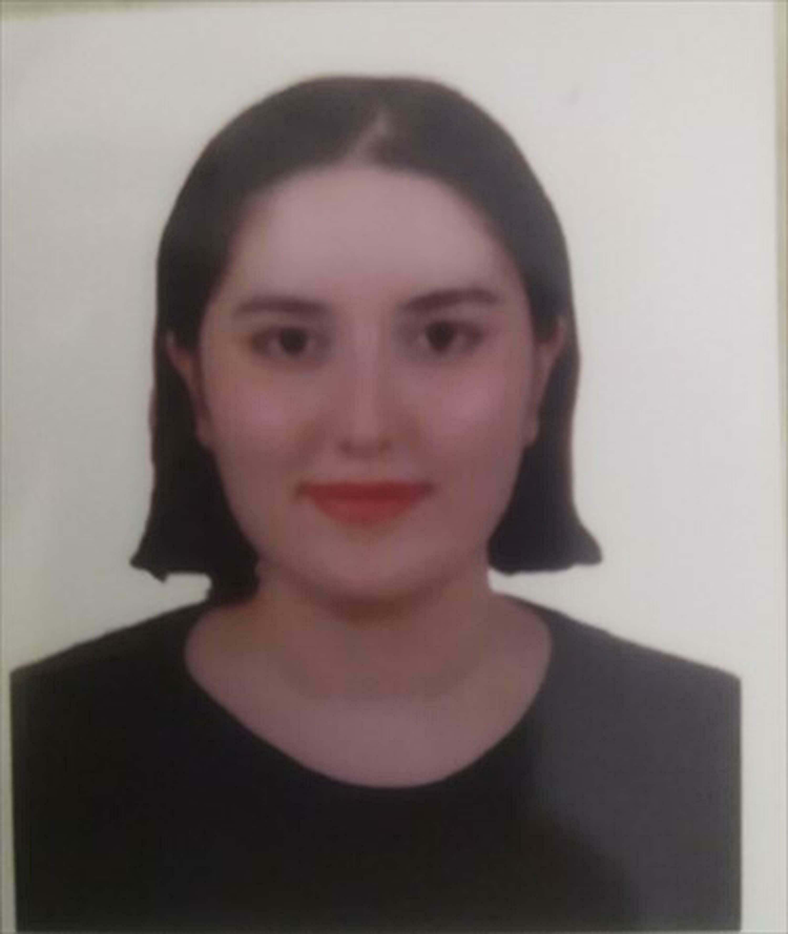 E L E K T R I K D A V A S I N D A I Z S U G E N E L M U D U R U V E 1283103 381753