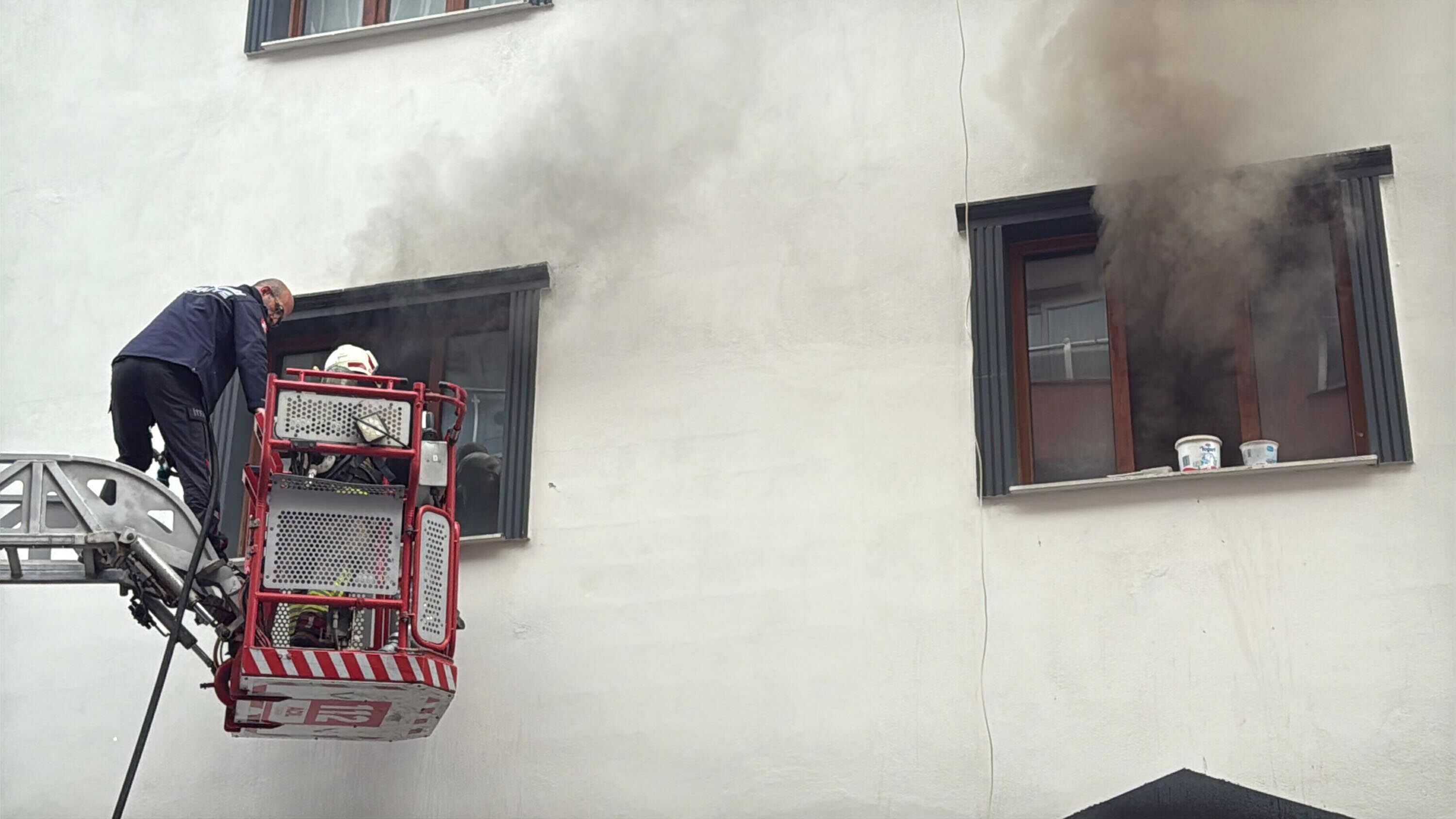 E V I N I A T E S E V E R D I G I I C I N G O Z A L T I N A A L I N D 1276222 379835