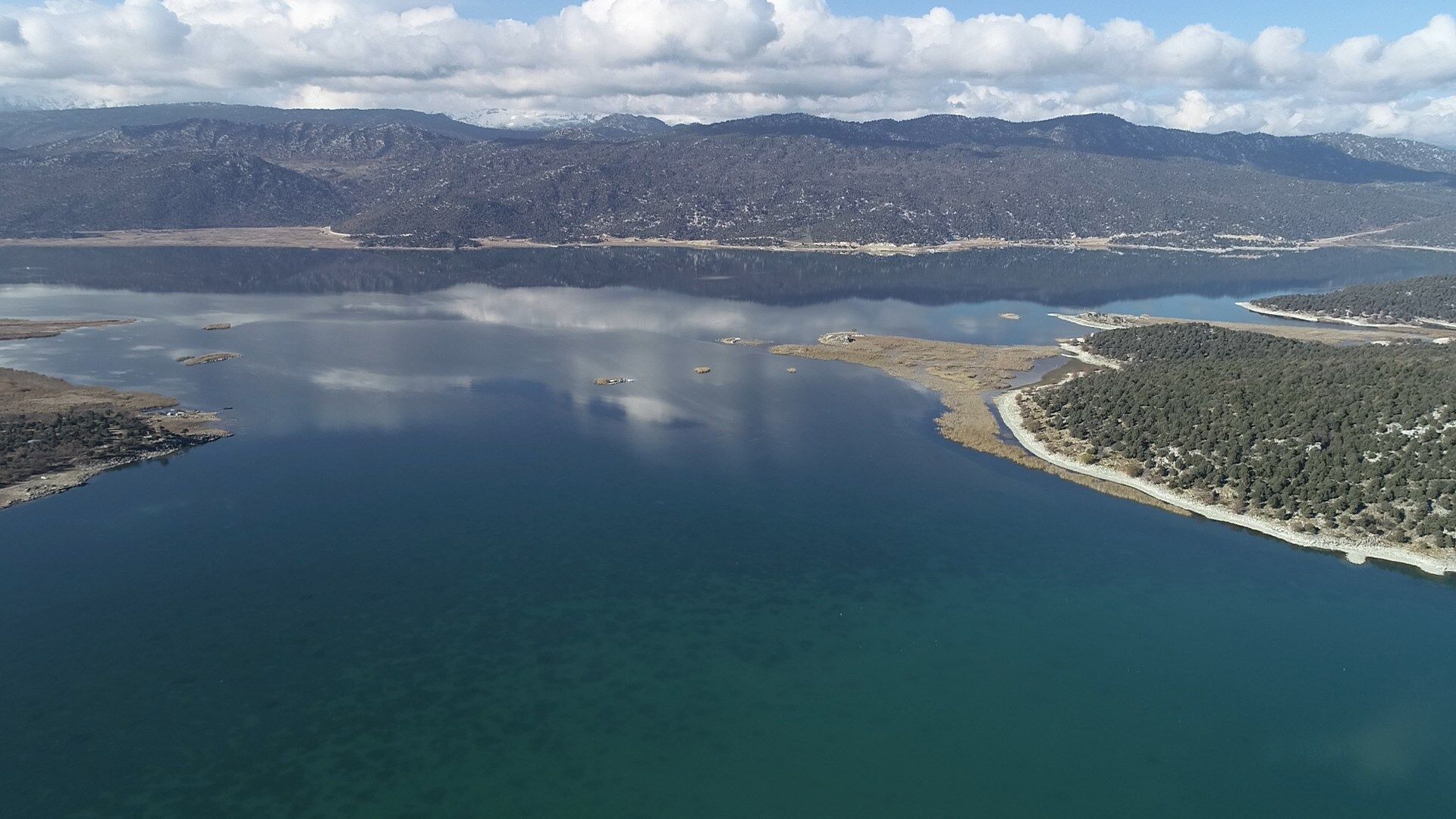 P R O F. D R. B A S T A S Y A P A Y Z E K A N I N 2027 Y I 1251595 372433