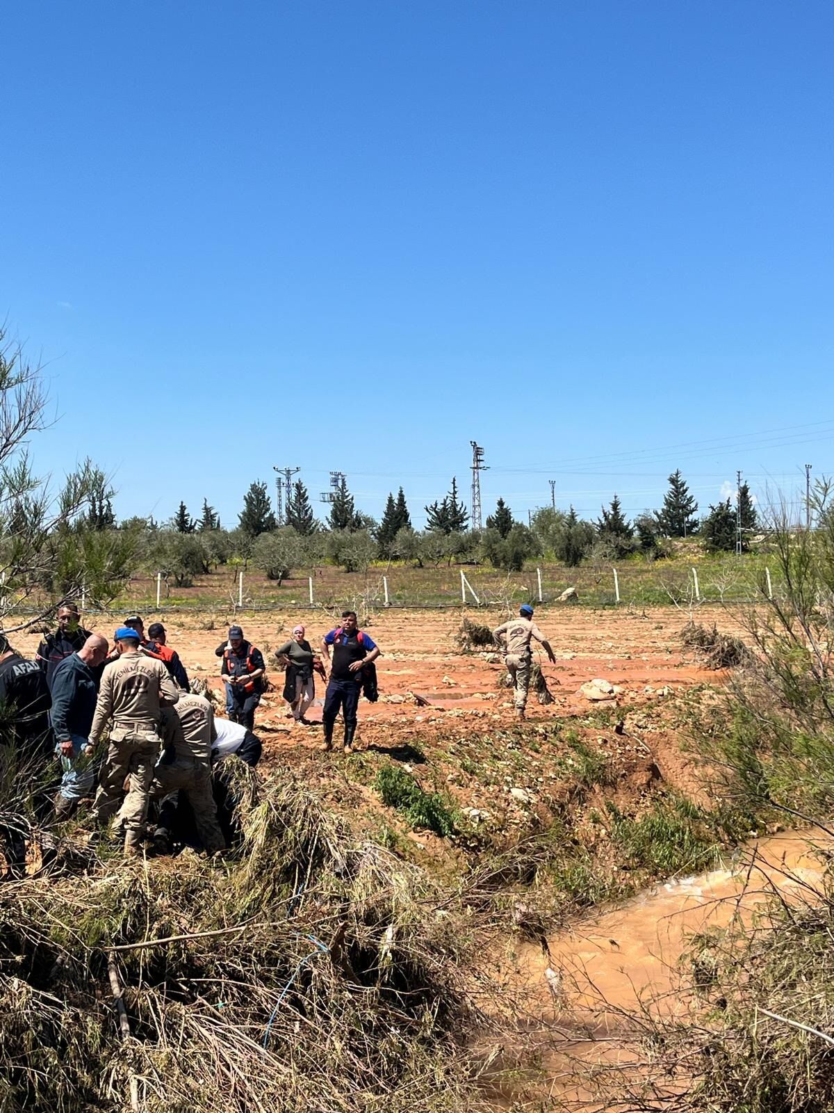 S E L S O N R A S I K A Y B O L A N M E H M E T’ I N C A N S I Z B E 1282239 381512