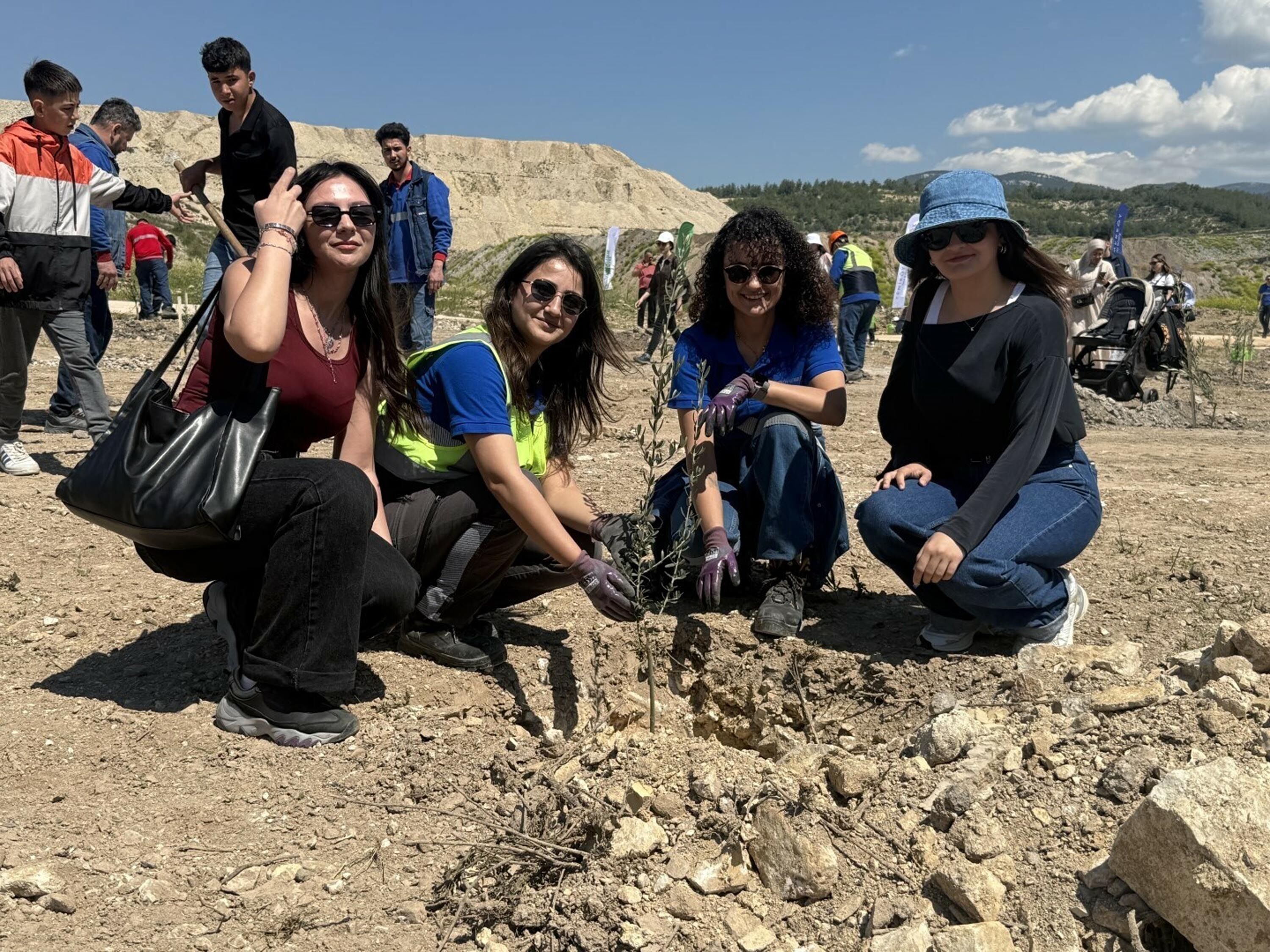 T A S I N A N H E R Z E Y T I N A G A C I I C I N Y E N I B I R F 1272037 378611