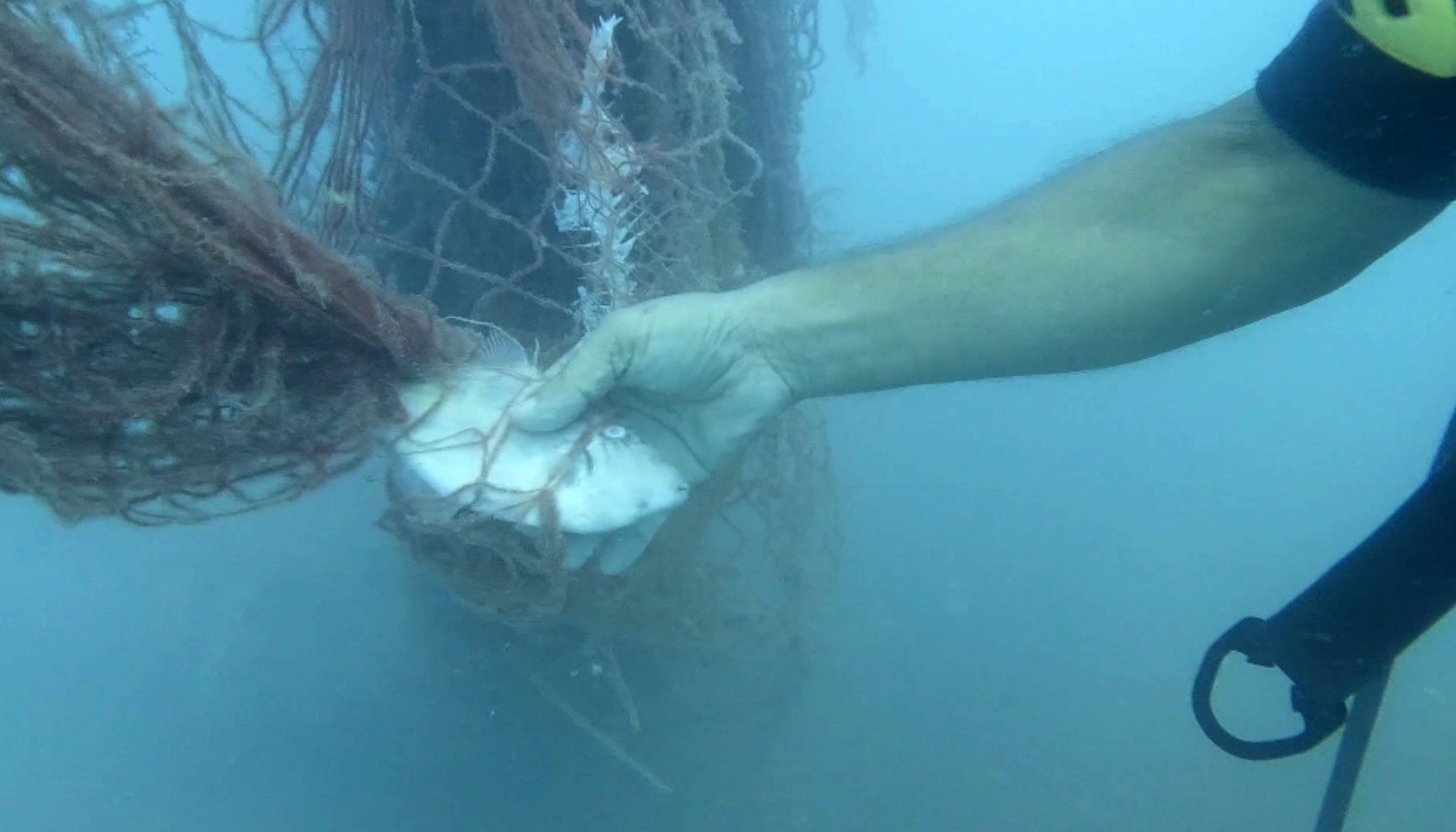 T E M I Z L E N E N H A Y A L E T A G L A R I L E 15 M I L Y O 1278771 380545