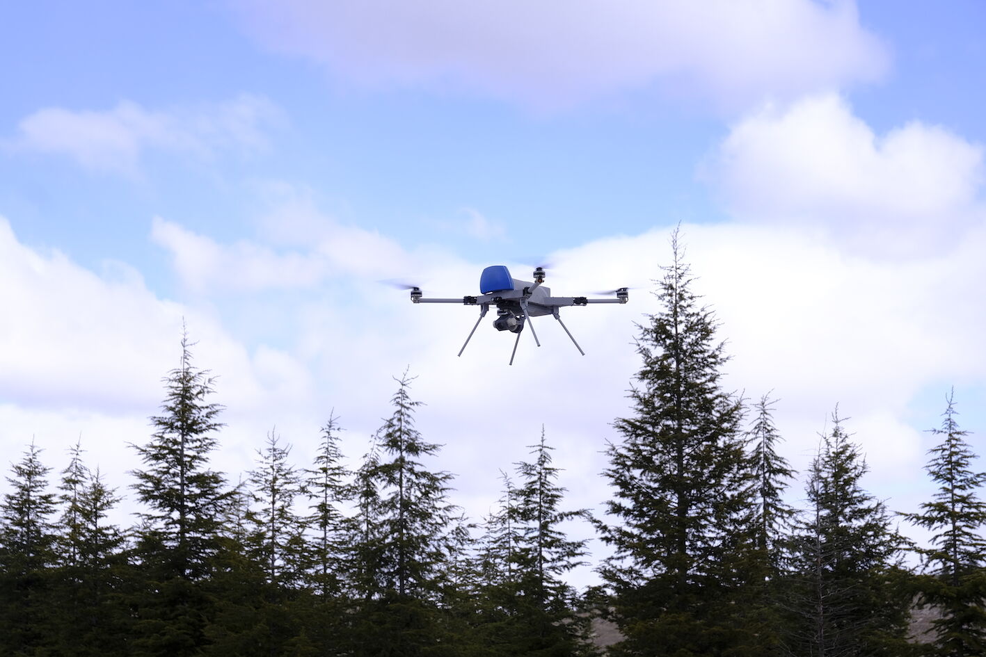 T U R K I H A L A R 4 K I T A D A G O R E V D E 1244786 370355