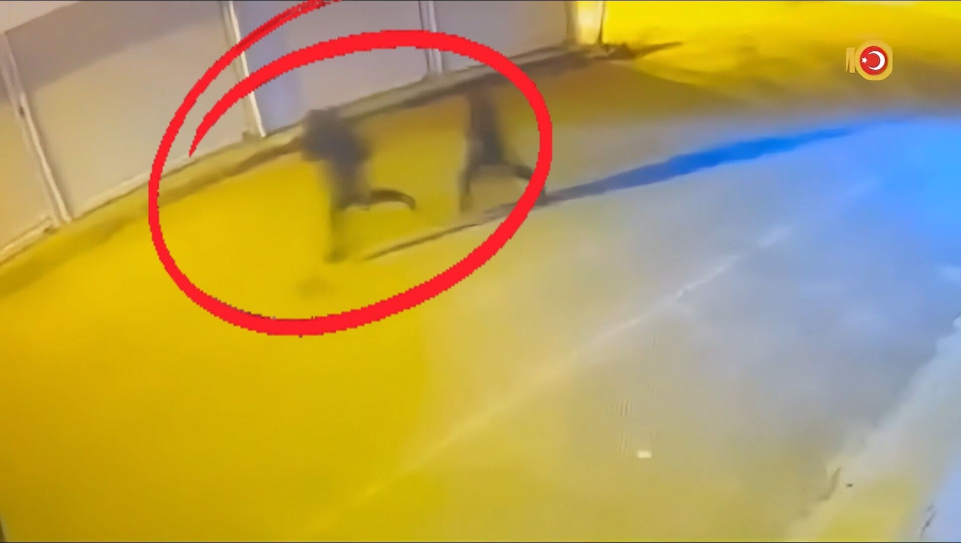 D I Y A R B A K I R’ D A C I K A R A M A C L I S I L A H L I S U C O 1386570 411768