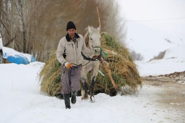 Yerli Çoban Bulamayınca İran'dan Çoban Getirdi 