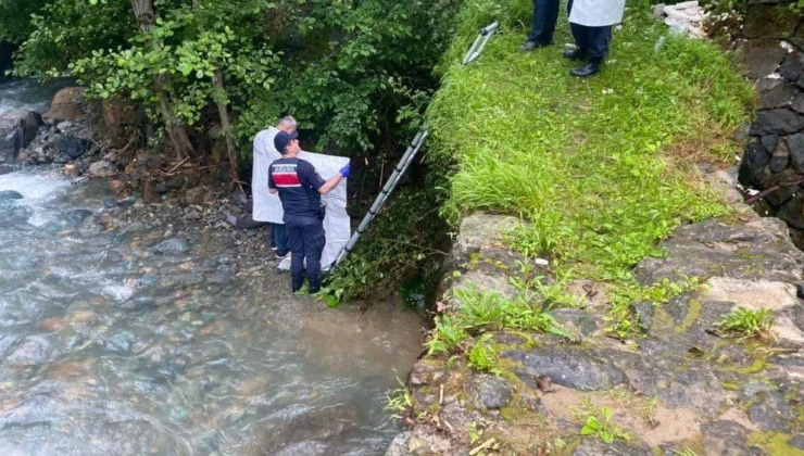 Taksiciyi Öldürüp Dereye Atan Sanığa 20,5 yıl Hapis