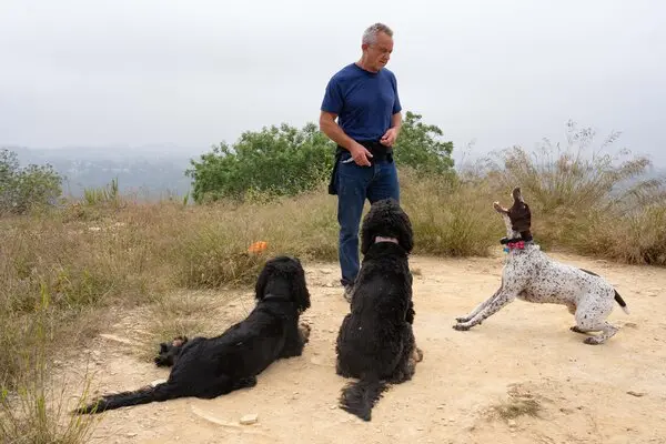 ABD Başkan Adayı Kennedy Jr.'ın Köpek Yeme Skandalı Sosyal Medyayı Salladı