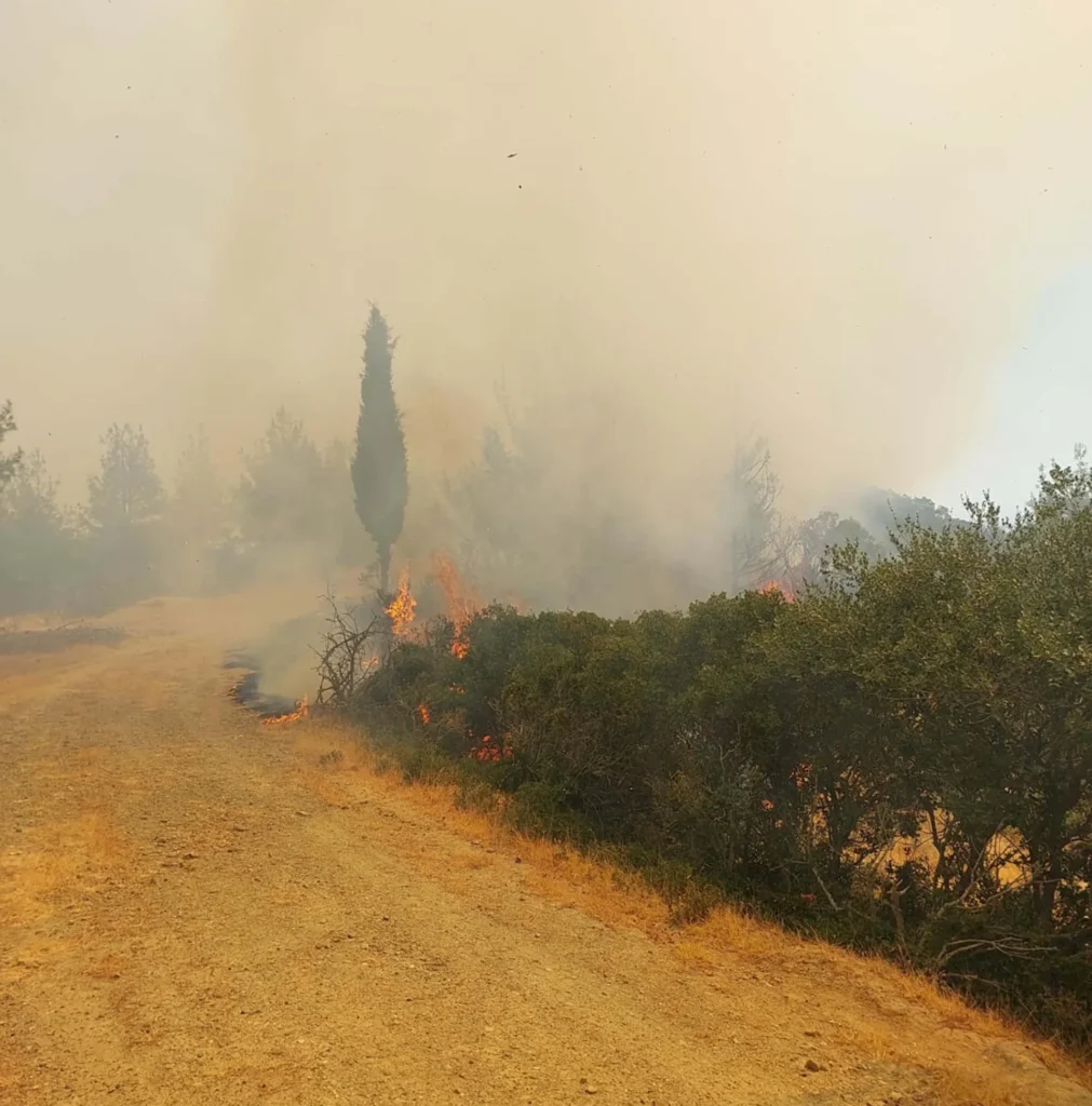 Çanakkale’de Orman Yangını 57. Alay Şehitliği ve Conkbayırı Ziyarete Kapatıldı!