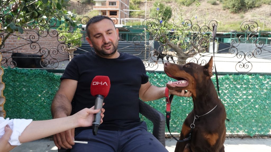 Azerbaycanlı Hekim, Kurduğu Çiftlikte 40'ı Aşkın Ülkeye Doberman Yetiştirip Gönderdi