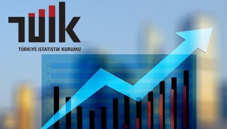 Türkiye İstatistik Kurumu (TUİK)